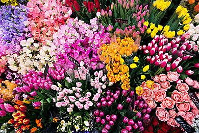 传《生化危机9》将很快公布 系列以来最具野心一作