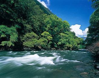 《真人快打1》能离线玩无需全程联网 豪华版提前5天玩